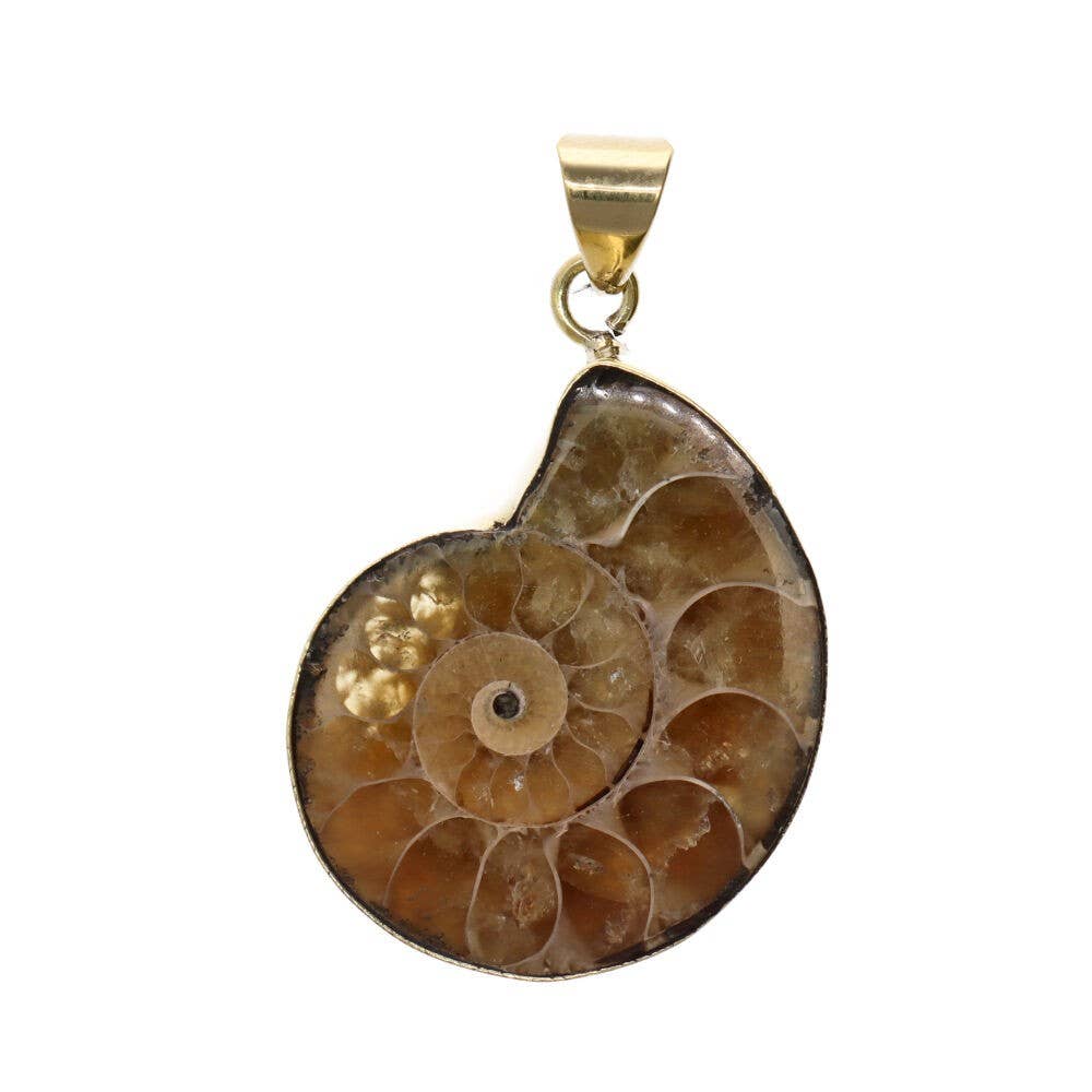 Bronze Ammonite Pendant -37-