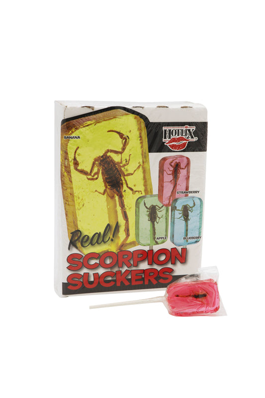 Scorpion Sucker Lollipop, Assorted Flavors, 36ct Box