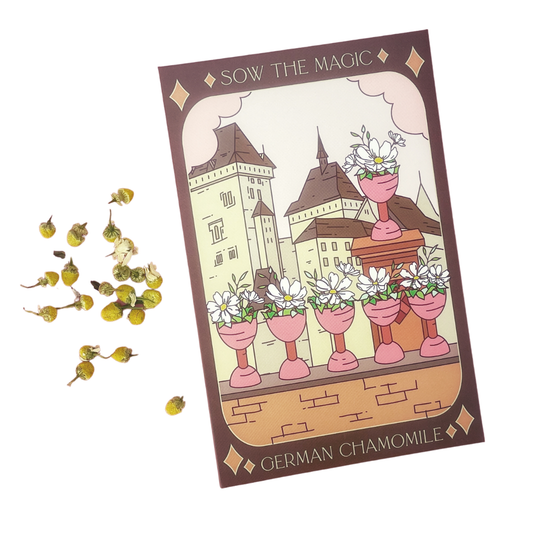 German Chamomile Tarot Garden + Gift Seed Packet