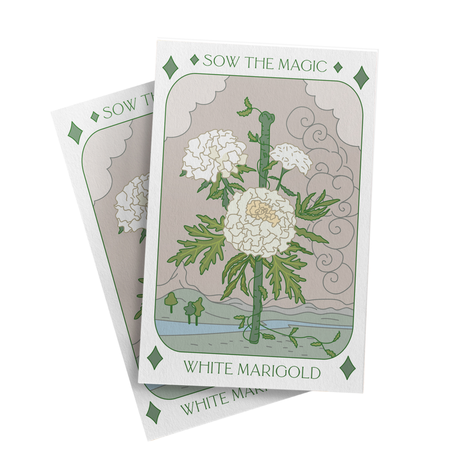 White Marigold Tarot Seed Packet