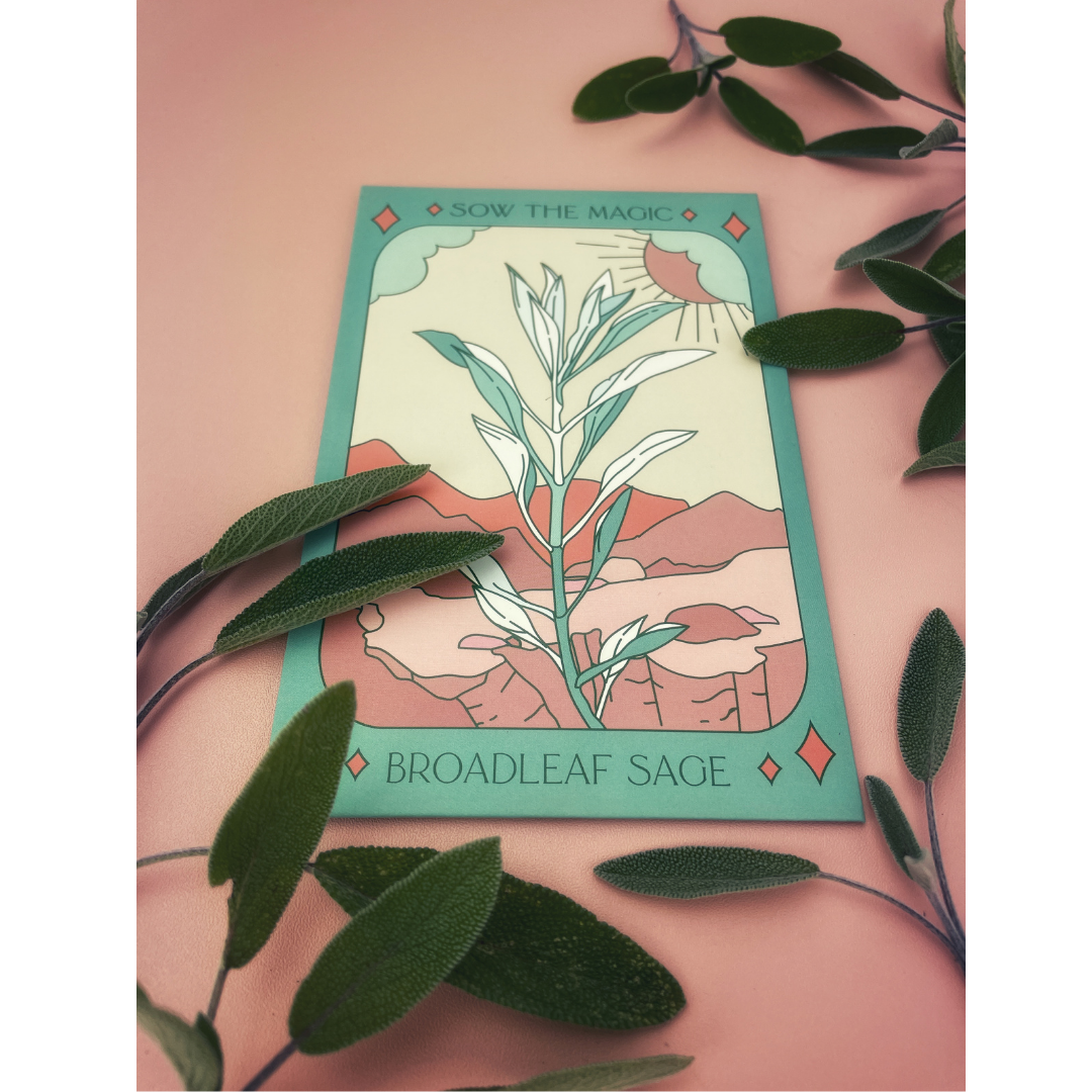 Broadleaf Sage Tarot Garden + Gift Seed Packet