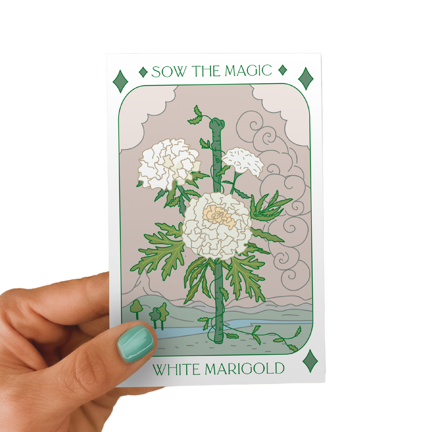 White Marigold Tarot Seed Packet