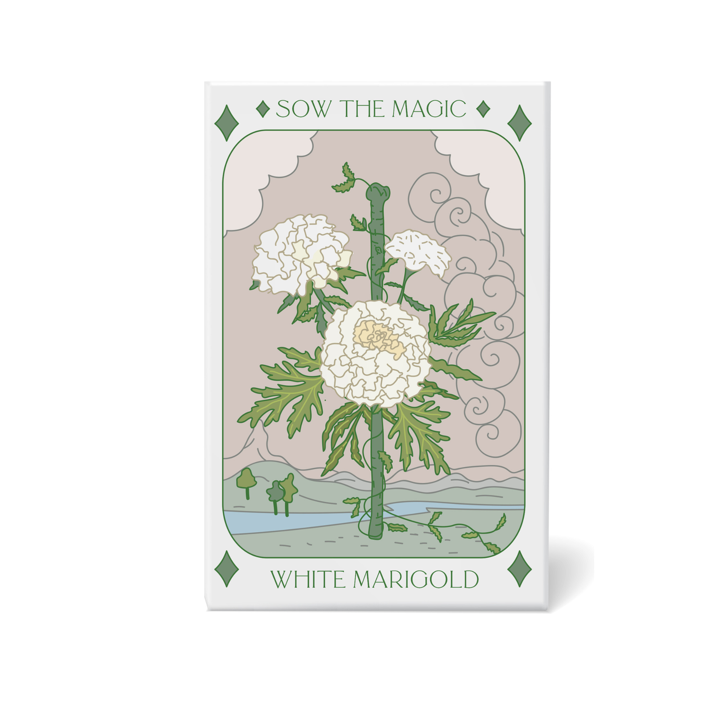 White Marigold Tarot Seed Packet