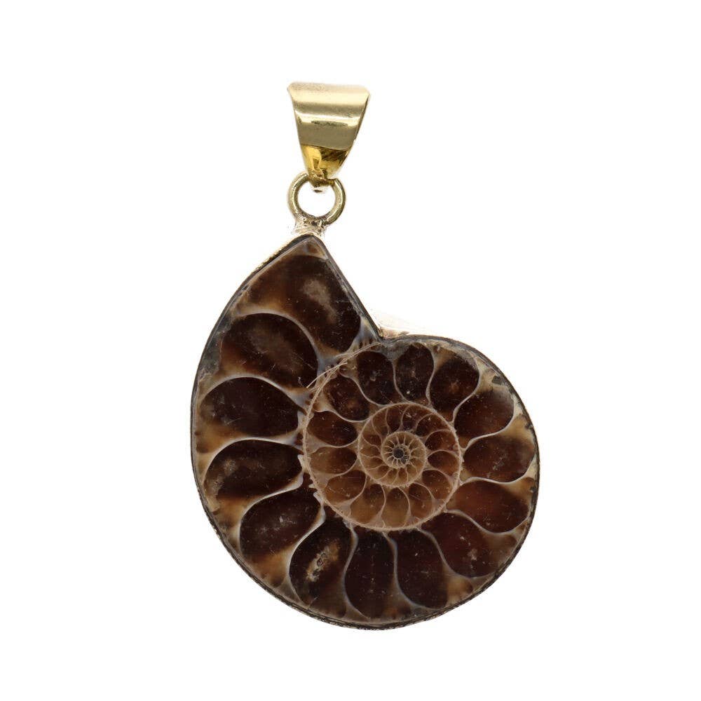 Bronze Ammonite Pendant -37-