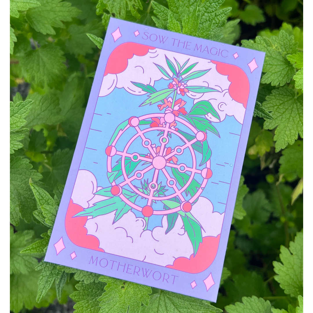 Motherwort Tarot Garden + Gift Seed Packet