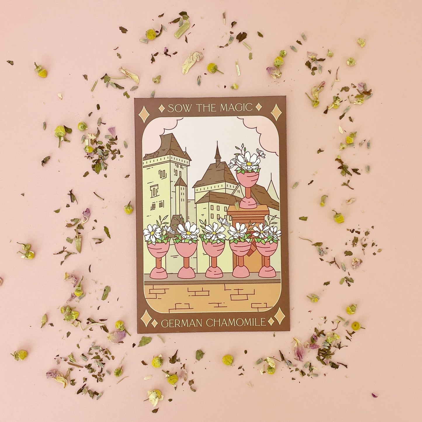 German Chamomile Tarot Garden + Gift Seed Packet